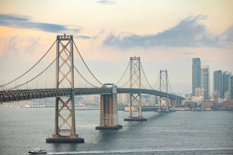 探索 Disney 郵輪的文化魅力與發展歷程